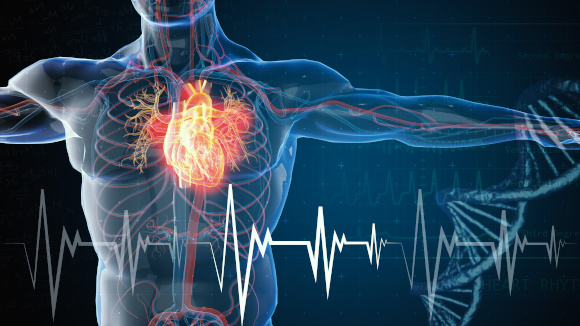 Cardiology Onboarding