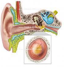 ENT- Otolaryngology Onboarding