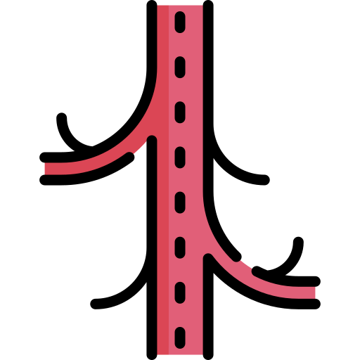 Vascular Medicine Onboarding